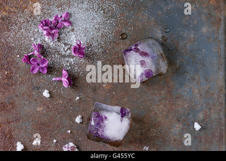 Eis Würfel mit lila Blüten, weißem Zucker und gezuckerten lila Blumen über altes rostiges Eisen Hintergrund. Ansicht von oben Stockfoto