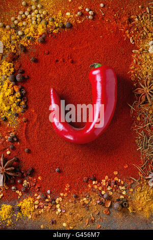 Würzigen Hintergrund mit Sortiment von verschiedenen hot Chili Peppers und Mischung aus anderen Gewürzen als Grenze mit roten Paprikapulver als bac Stockfoto