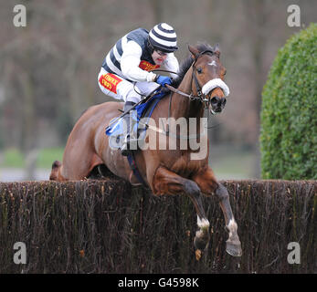 Pferderennen - Familientag - Sandown Park. Dan Breen wird von Tom Scudamore in der Carling-Aktion „Made with 100% British Barley“-Novizen aus dem Steeple Chase geritten Stockfoto