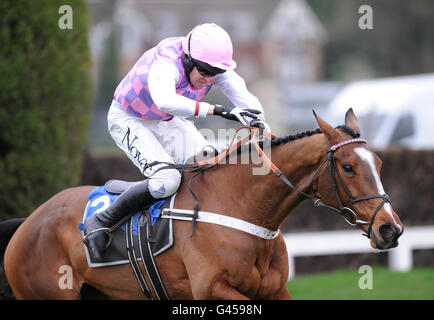 Pferderennen - Familientag - Sandown Park. Giorgio Quercus, geritten von Barry Geraghty in Aktion in der Carling "Made with 100% British Barley" Novizen Steeple Chase Stockfoto