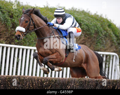 Pferderennen - Familientag - Sandown Park. Dan Breen wird von Tom Scudamore in der Carling-Aktion „Made with 100% British Barley“-Novizen aus dem Steeple Chase geritten Stockfoto