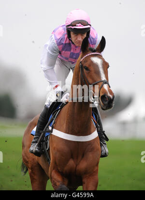 Pferderennen - Familientag - Sandown Park. Giorgio Quercus, geritten von Barry Geraghty in Aktion in der Carling "Made with 100% British Barley" Novizen Steeple Chase Stockfoto