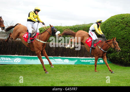 Pferderennen - Grand Military Gold Cup Day - Sandown Park. Blue Teen mit Jody Sole (r) springt als Letzter zum Grand Military Gold Cup von Icy Tea mit Lucy Gardener (l) Stockfoto