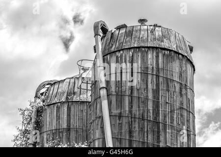 Ein paar der alten hölzernen Getreidesilos von 1899 in Ely, Vermont in schwarz und weiß. Stockfoto