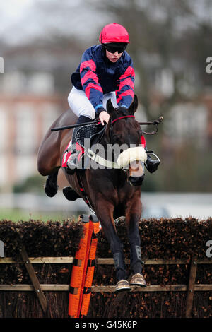 Pferderennen - Grand Military Gold Cup Day - Sandown Park. Peqeno Diablo, geritten von Jessica Lodge Stockfoto