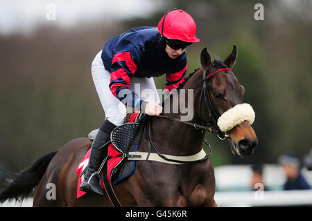 Pferderennen Sie - Grand militärische Gold Cup Day - Sandown Park Stockfoto