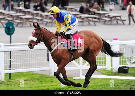 Pferderennen Sie - Grand militärische Gold Cup Day - Sandown Park Stockfoto