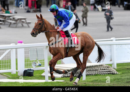 Pferderennen Sie - Grand militärische Gold Cup Day - Sandown Park Stockfoto