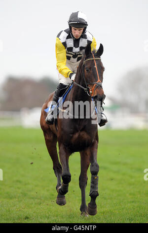 Pferderennen - Familientag - Sandown Park. Die Royal Mile wurde von Wayne Hutchinson während der Hürde des 40. Geburtstages von Richard O'Sullivan für „National Hunt“-Anfänger gefahren Stockfoto