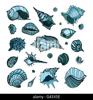 Sammlung mit verschiedenen Muscheln. Stock Vektor