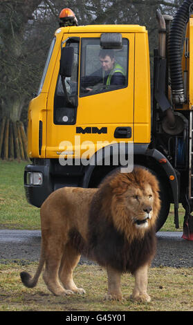 Blair Drummond bereitet für die Saison 2011 Stockfoto