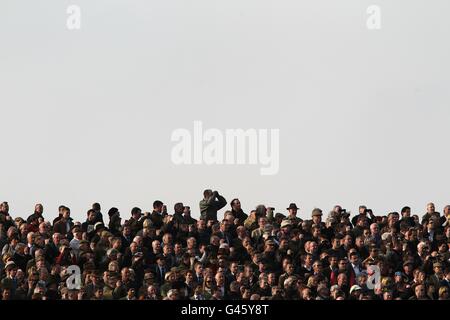 Pferderennen - 2011 Cheltenham Festival - Tag Drei. Racegoers beobachten die Action am St. Patrick's Day während des Cheltenham Festivals. Stockfoto