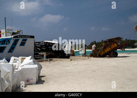 Ein Boot laden Müll aus einer Ferieninsel auf den Malediven. Dadurch gelangen Sie in den Müll Insel Thilafushi. Stockfoto