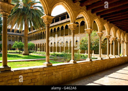 Clpalm Treeoister von der Monestir de Pedralbes in Barcelona Stockfoto