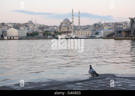 Morgendämmerung in Istanbul. Ansicht der neuen Moschee in der Nähe von Galata-Brücke über Bucht Goldenes Horn, Istanbul, Türkei Stockfoto