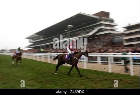 Pferderennen - 2011 Cheltenham Festival - Tag Zwei. Großmut unter Davy Russell, der vor dem RSA Chase am Ladies Day während des Cheltenham Festivals Posten wird. Stockfoto