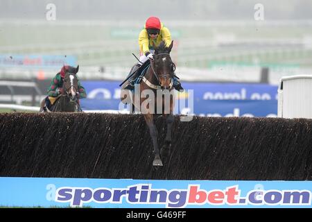 Sizing Europe mit Andrew Lynch gewinnt am Ladies Day, während des Cheltenham Festivals, die Queen Mother Champion Chase sportingbet.com Stockfoto