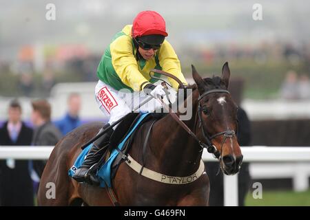 Sizing Europe mit Andrew Lynch gewinnt am Ladies Day, während des Cheltenham Festivals, die Queen Mother Champion Chase sportingbet.com Stockfoto