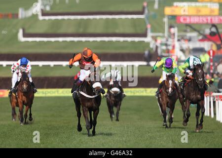 Long Run geritten von Sam Waley-Cohen (Mitte) Rennen den Hügel hinauf, um den totesport Cheltenham Gold Cup von Denman zu gewinnen, gefahren von Sam Thomas (ganz rechts) und Kauto Star geritten von Ruby Walsh (zweite von rechts) während des Gold Cup Day, beim Cheltenham Festival. Stockfoto