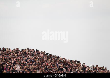 Pferderennen - 2011 Cheltenham Festival - Tag Vier. Rennfahrer in den Tribünen beobachten die Action am Gold Cup Day während des Cheltenham Festivals. Stockfoto