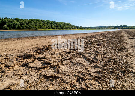 Wehr-Holz-Reservoir in England in einer Zeit der Dürre. Stockfoto