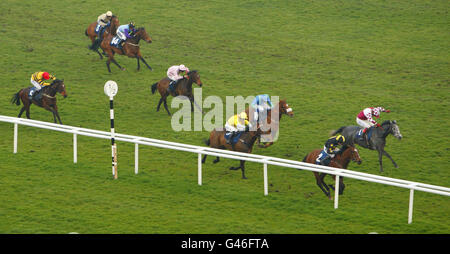 Das Feld kommt nach Hause im West Berkshire Racing Club Junior Bumper Rennen unter der Führung von Turbo du Ranch unter der Führung von Robert Thornton (rechts) während des Celebrate Equestrian beim Jump Season Finale auf der Rennbahn Newbury Racecourse. Stockfoto