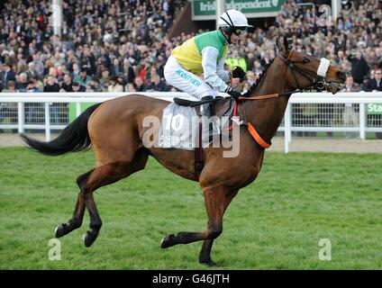 Horse Racing - 2011 Cheltenham Festival - Tag eins Stockfoto