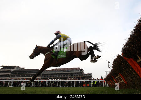 Jockey Graham Lee auf Umkipp während der Stan James Champion Trophäe „Hürde Herausforderung“ Stockfoto