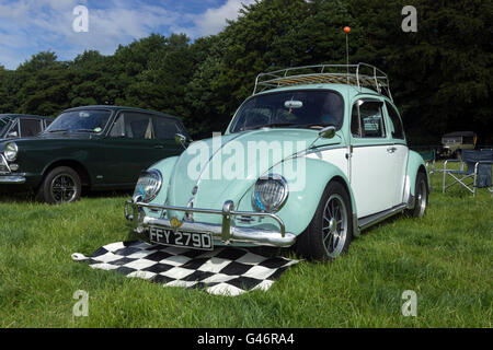 VW Käfer Stockfoto