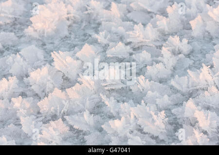 Nahaufnahme des großen Schneeflocken oder Kristalle gebildet durch extreme Kälte Stockfoto