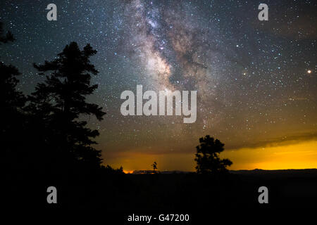 Die Milchstraße und der Nachthimmel über einem Waldbrand in der Nähe des Mogollon Rim in Arizona Stockfoto