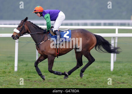 Pferderennen - Feiern Sie den Pferdesport beim Jump Season Finale - Newbury Racecourse. Der Jockey Aiden Leigh von Shop DJ tritt beim Hürdenfinale des European Breeders' Fund Mares für „National Hunt“-Novizen auf Stockfoto