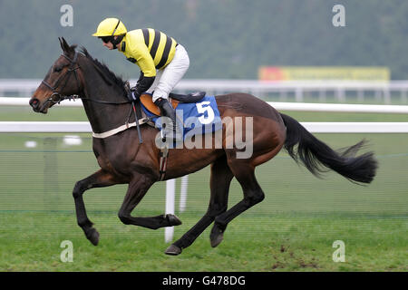 Jockey Nathan Sweeney auf Mizzurka geht, um in den Posten European Breeders' Fund Mares' 'National Hunt' Novizen' Hurdle Finale Stockfoto