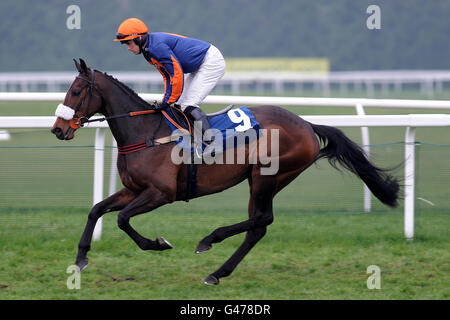 Pferderennen - Feiern Sie den Pferdesport beim Jump Season Finale - Newbury Racecourse. Der Jockey Sean Quinlan in der Malindi Bay wird beim Hurdle Finale der „National Hunt“-Novizen des European Breeders Fund Mares eingesetzt Stockfoto