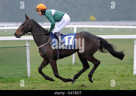 Pferderennen - Feiern Sie den Pferdesport beim Jump Season Finale - Newbury Racecourse. Der Jockey Nick Scholfield bei der Molly-Runde wird beim Hürdenfinale des European Breeders' Fund Mares für „National Hunt“-Novizen eingesetzt Stockfoto