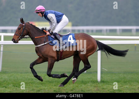 Pferderennen - Feiern Sie den Pferdesport beim Jump Season Finale - Newbury Racecourse. Jockey Chris Geoghegan bei Wistow wird beim Hürdenfinale des European Breeders Fund Mares für „National Hunt“-Novizen eingesetzt Stockfoto