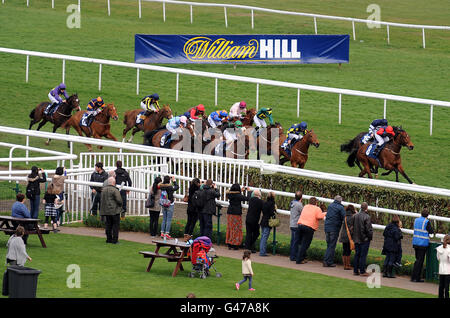 Pferderennen - William Hill Doncaster Shield Day - Doncaster Racecourse. RENNEN 4. No 8, King of Eden von David Allan geritten gewinnt die William Hill Home of Betting Handicap Stakes. Stockfoto