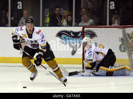 Eishockey - Elite Ice Hockey League - 2011 Play Offs - Finale - Cardiff Devils gegen Nottingham Panthers - Capital FM Arena. Guillaume Lepine, Nottingham Panthers Stockfoto