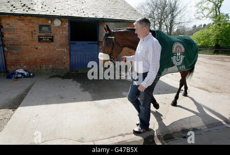 Trainer Donald McCain Jnr kehrt Grand National Gewinner Ballabriggs in seinen Stall nach einem Homecoming Fotocall in den Ställen in Malpas, Cheshire, PRESSE ASSOCIATIOIN Photo. Bilddatum: Sonntag, 10. April 2011. Der Sieg war Trainer Donald McCains erster im Rennen. Sein Vater Donald 'Ginger' McCain trainierte zwei Pferde zu vier nationalen Siegen, Red Rum 3 mal und Amberleigh House 2004. Bildnachweis sollte lauten: Dave Thompson/PA Wire Stockfoto