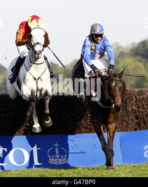 Pferderennen Sie - Landschaft Allianz Raceday - Ascot Stockfoto