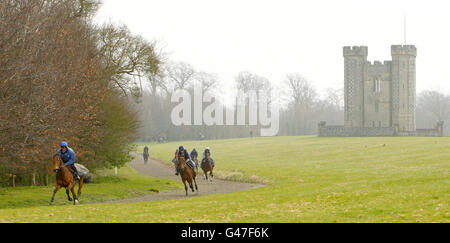 Rennpferde aus den John Dunlop Stables galoppieren am Hiorne Tower auf dem Norfolk Estate in Arundel, West Sussex, der im neuen South Downs National Park liegt. Die South Downs National Park Authority (SDNPA) geht am 1. April live, wenn sie ihre gesetzliche Verantwortung für die Leitung und Planung der Zukunft des neuesten Nationalparks in Großbritannien übernimmt. Stockfoto