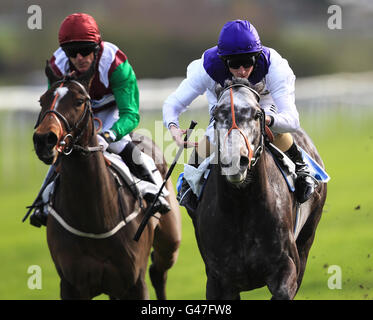 Pferderennen Sie - Ladbrokes Renntag - Leicester Racecourse Stockfoto