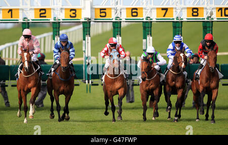 Pferderennen Sie - Ladbrokes Renntag - Leicester Racecourse Stockfoto