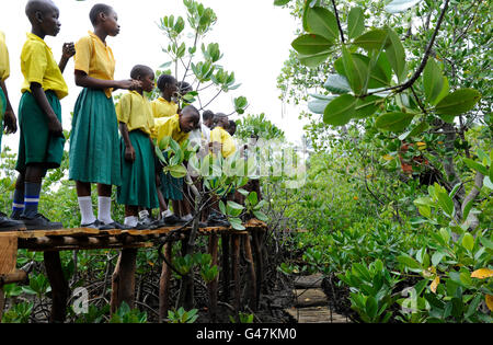 Kenia, Mombasa, Dorf Majaoni, Mangrove aforestation am Küstenstreifen für Klima und Küste Schutz zu Meer Erosion, Schulkinder von Umwelt Youth Club auf der Spur während der exkursion zu verhindern Stockfoto