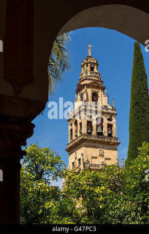 Alminar Turm Minarett, Patio de Los Naranjos, Mezquita-Kathedrale. Cordoba Stadt Andalusiens, Spanien, Europa Stockfoto