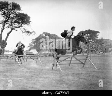 Pferdesport - Essex Landwirtschaft Show - Colchester Stockfoto