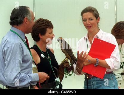 Natur-Rallye/Tiggy Stockfoto