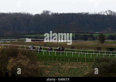 Läufer und Reiter in den William Hill Maiden Stakes machen Ihr Weg um Catterick Racecourse Stockfoto