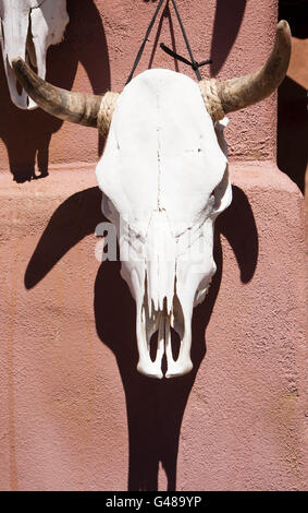 Gebleichte Viehschädel, Santa Fe, New Mexico. Nahaufnahme Foto hängt an einem Adobe farbige Wand auf einem Straßenmarkt Schädel Stockfoto