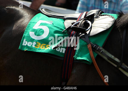 Pferderennen - bet365 Gold Cup Easter Festival - Sandown Park. Detailansicht eines Satteltuchs mit der Nummer 5 von BET 365 Stockfoto